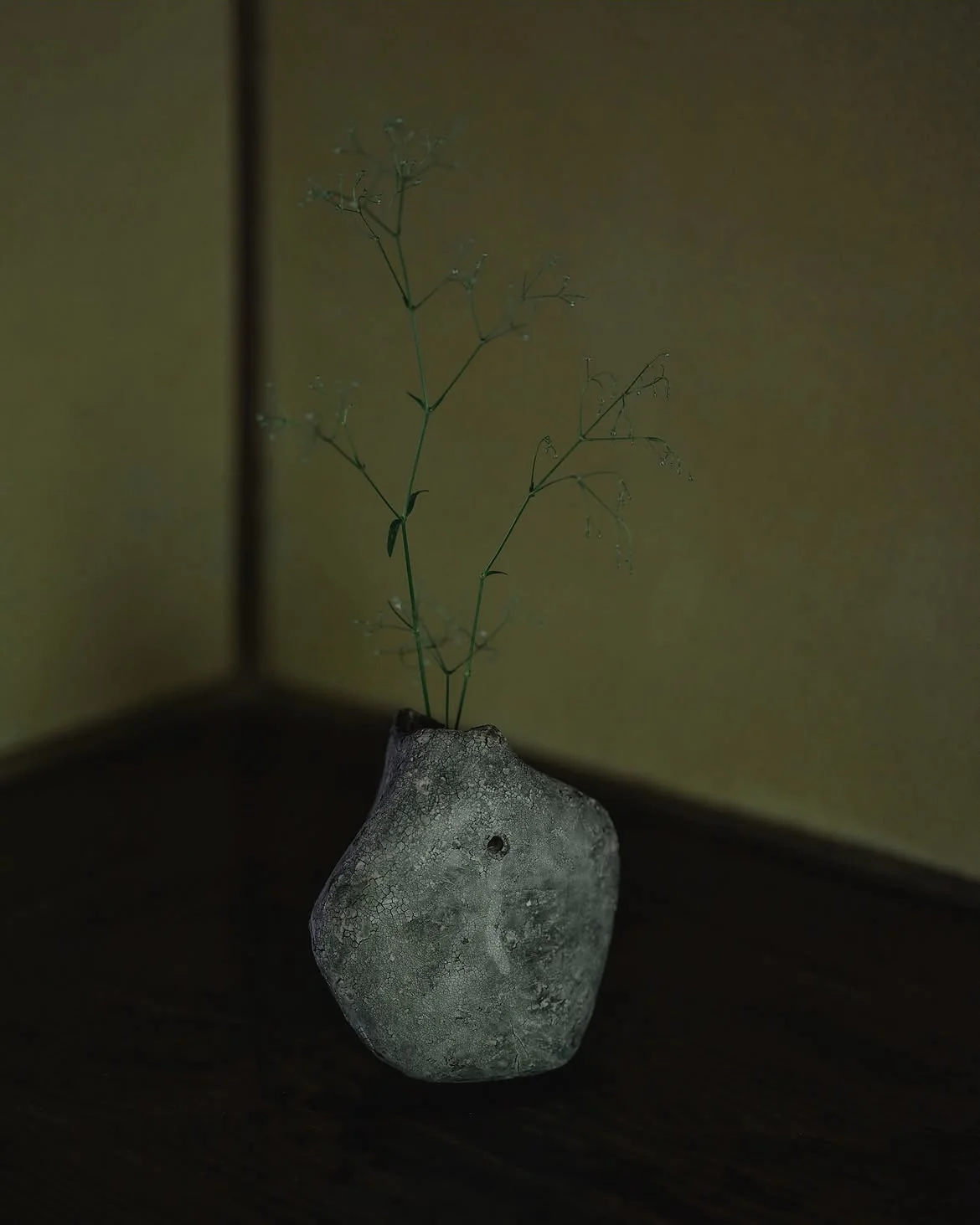 A textured ceramic form holding a branch in a softly lit corner